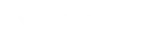 Birdeye