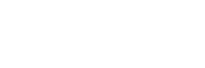 Birdeye