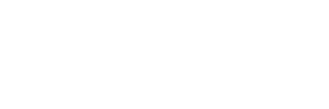 Birdeye