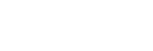 Birdeye
